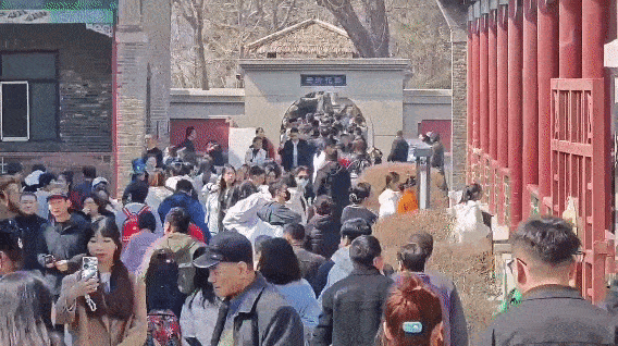 w020240405664380122378 (1).gif