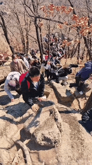 w020240405708511325756 (1).gif